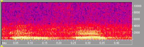 Abb.: Das gefilterte Signal (Spektraldarstellung)
